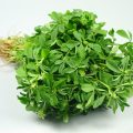 fenugreek-leaves-1024×768