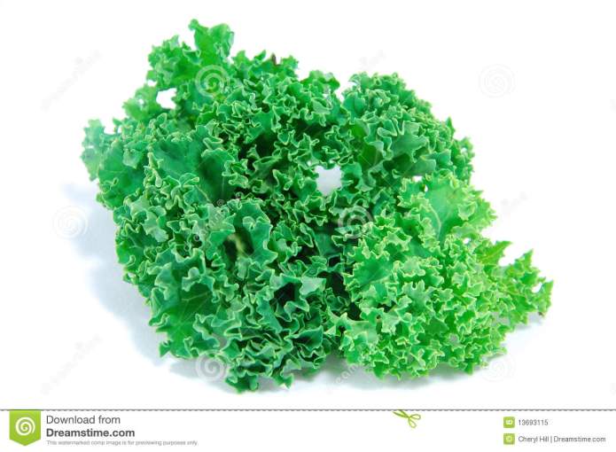 kale-leaves-13693115