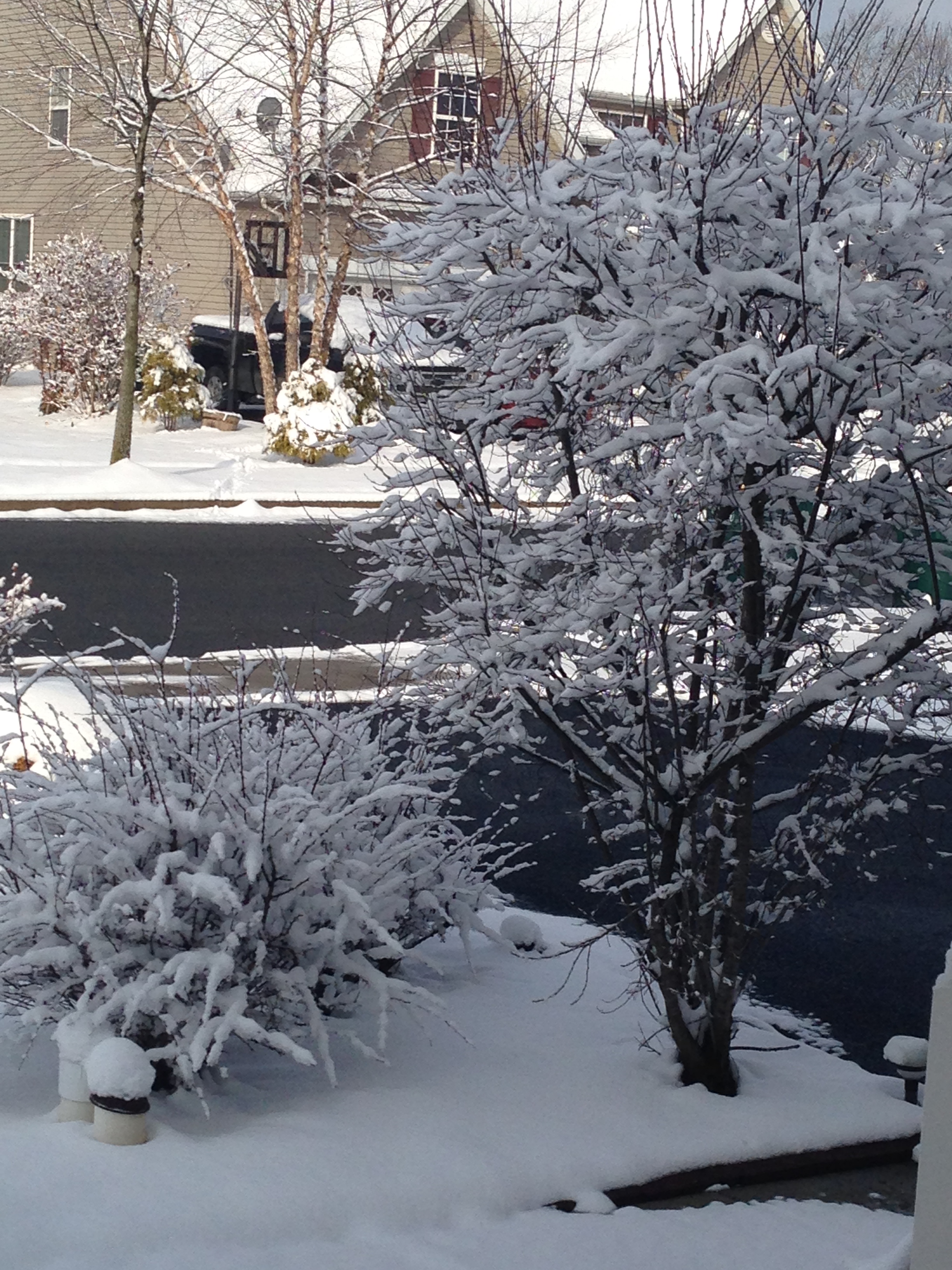 20150321_125707865_iOS